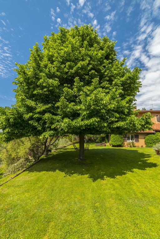 B&B Acque Lucenti Сакрофано Экстерьер фото