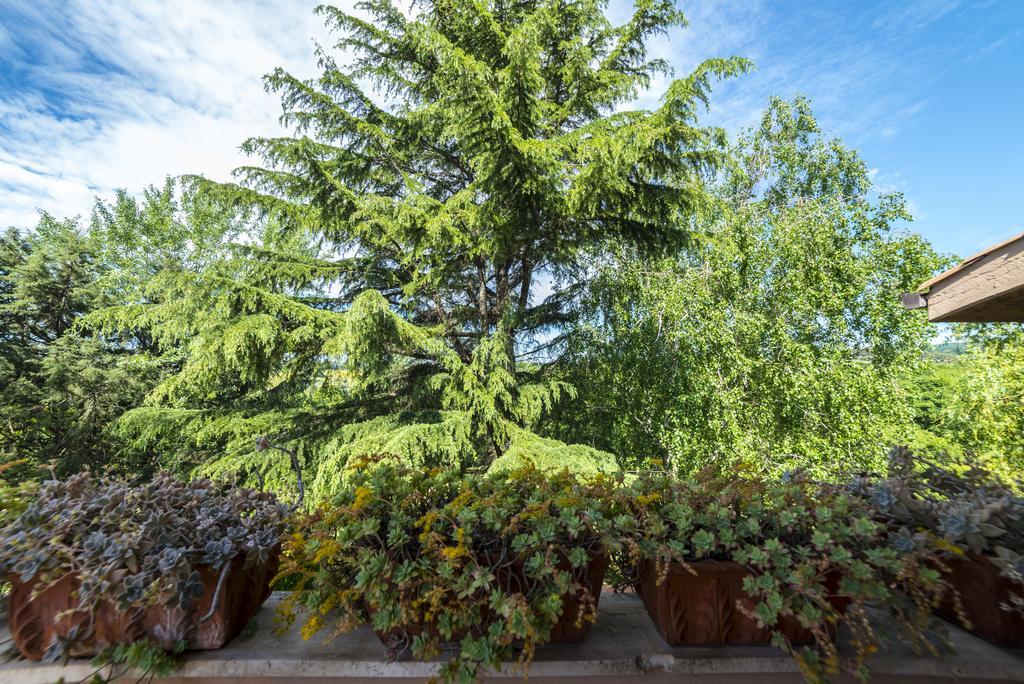 B&B Acque Lucenti Сакрофано Экстерьер фото