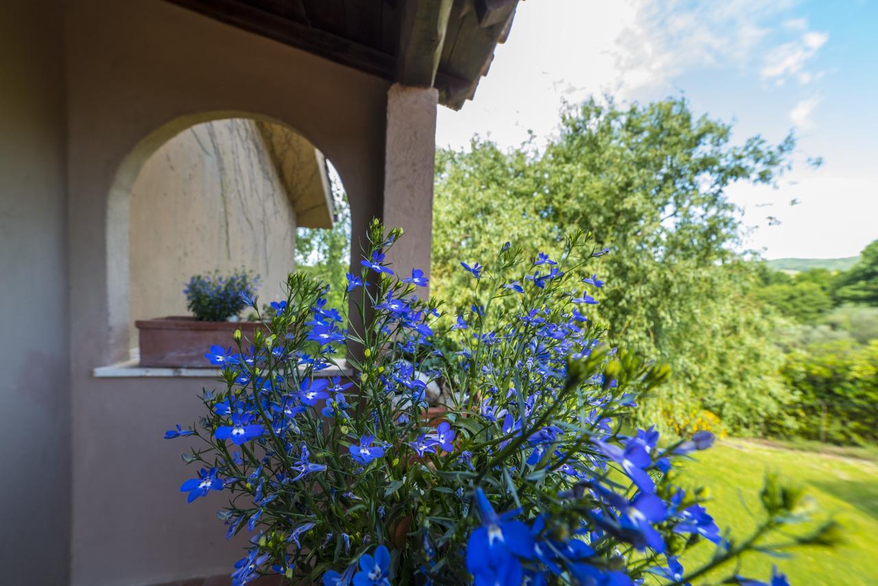 B&B Acque Lucenti Сакрофано Экстерьер фото